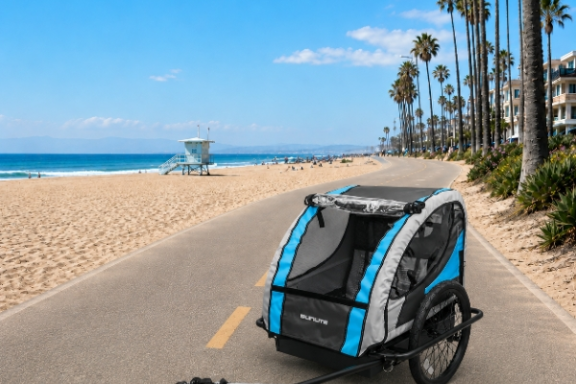 Bike trailer on beachside path with palm trees and ocean view.