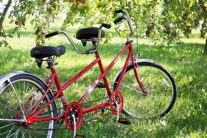 a bicycle parked in front of a lush green field