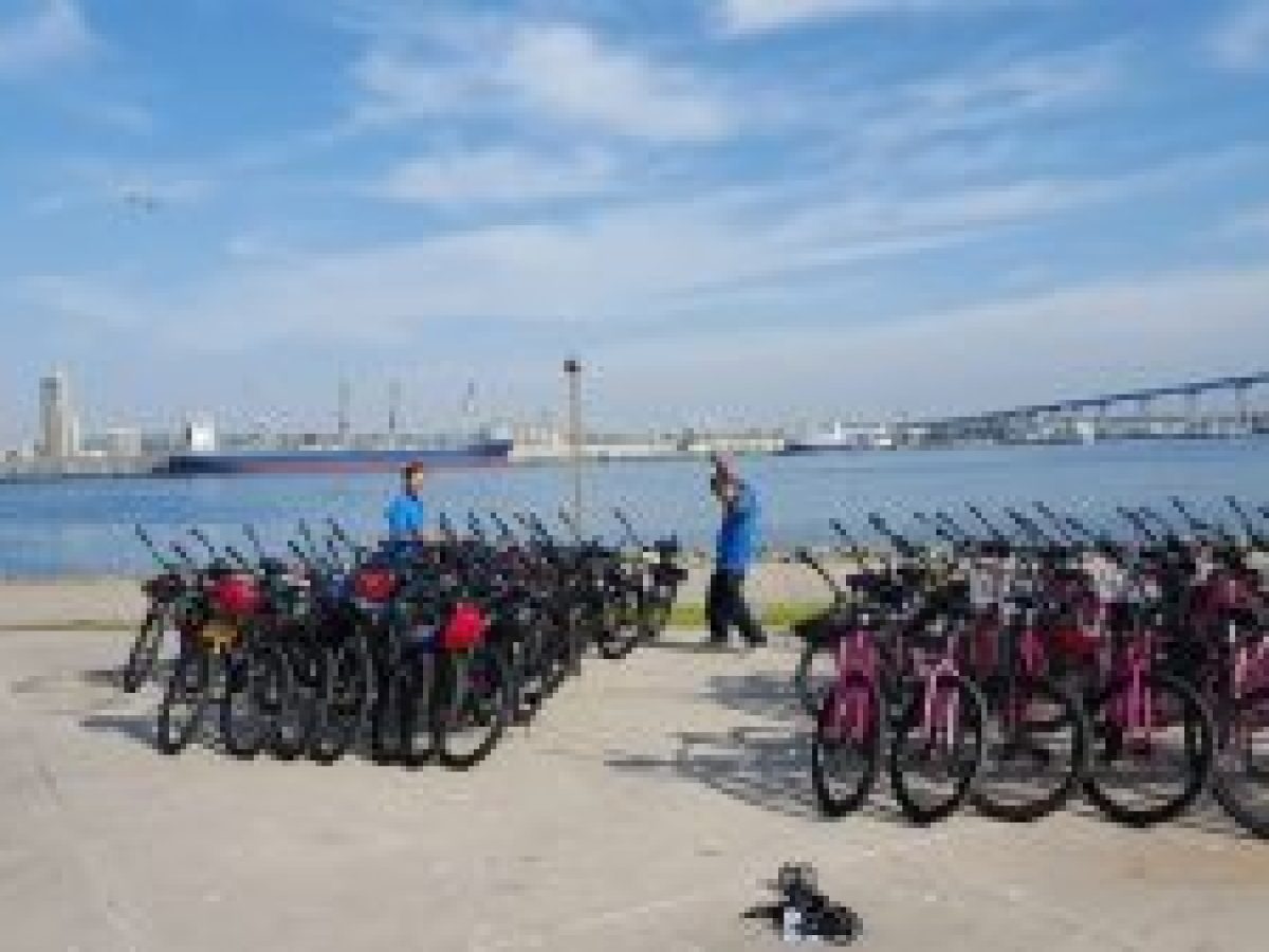 a row of parked motorcycles sitting on top of a sandy beach