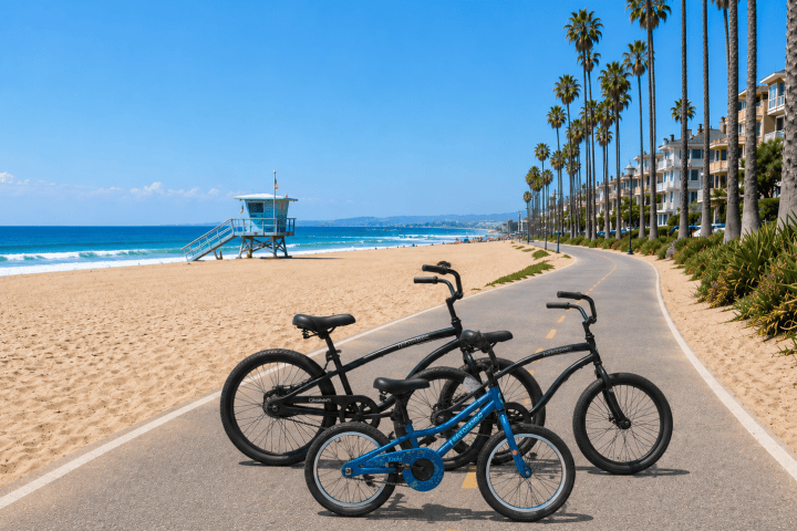 Three bicycles on a beachside path with palm trees and a lifeguard tower.