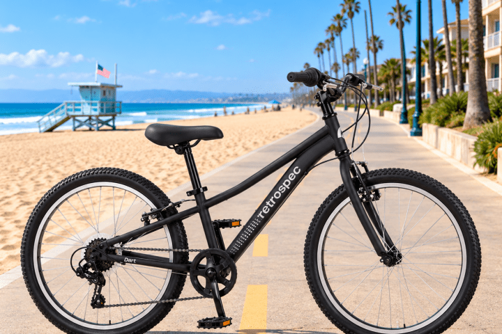 Black bicycle on a beachside path lined with palm trees.